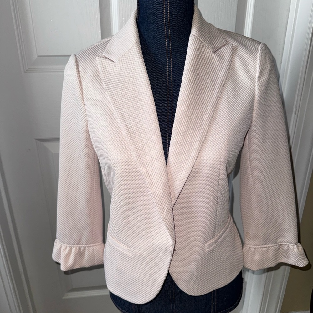 Amanda + Chelsea Pink Textured Ruffle Sleeve Blazer Sz 4